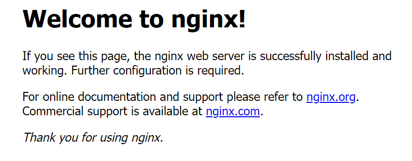 nginx demo app